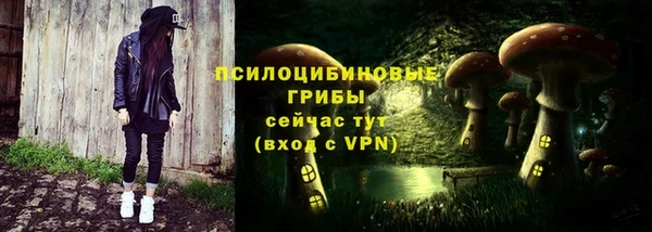 a pvp Бородино