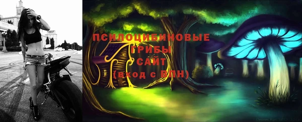 ешки Богородск
