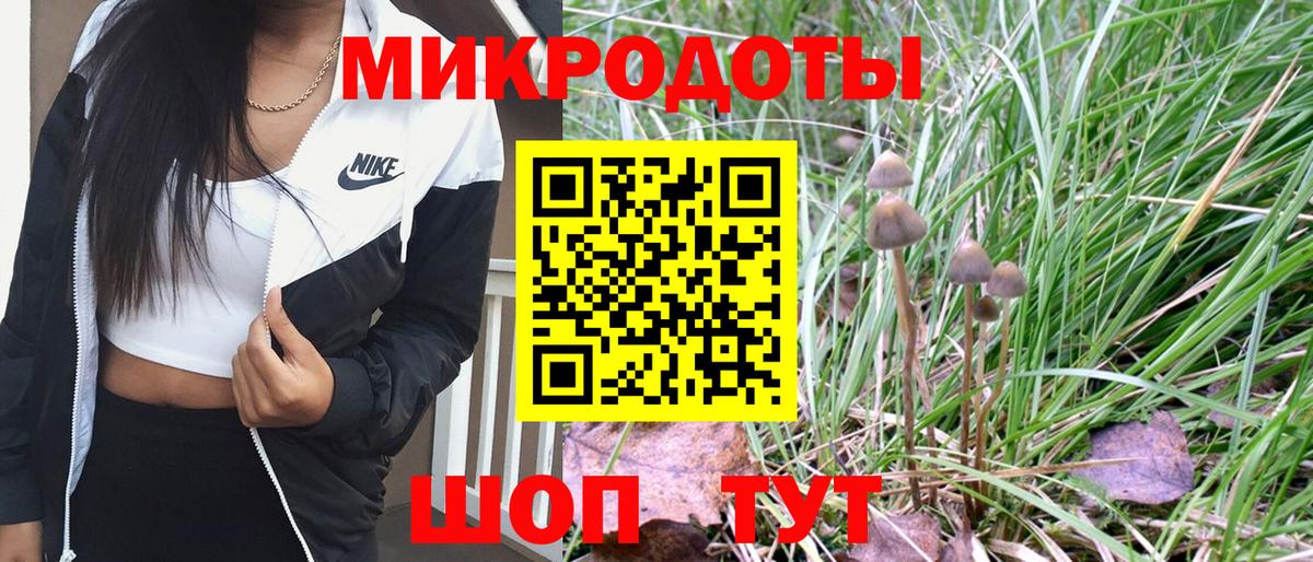 Кстово  Псилоцибиновые грибы Cubensis  Вход с VPN 